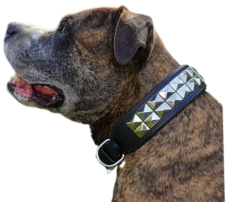 Hundehalsband Titan Lederhalsband Leder Schwarz Nieten Hohe Zugkraft Extra Breit Halsband Hund (L)