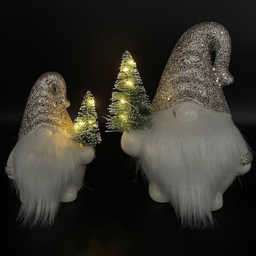 Online Fuchs 2er Set süße Weihnachtswichtel mit kleinen Weihnachtsbaum und LED-Lichterkette inkl. 6-Stunden Timerfunktion - Weihnachtsdeko (Silber)