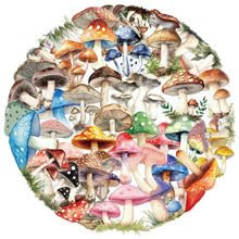 50Stück Transparent Pilz Aufkleber für Stoßstange,Auto,Fahrrad,Gepäck,Motorrad,Kühlschrank,Laptop,Cartoon Pflanzen Wasserdicht Vinyl Decal,Erwachsene Mädchen Geschenk,Niedliche Graffiti Sticker