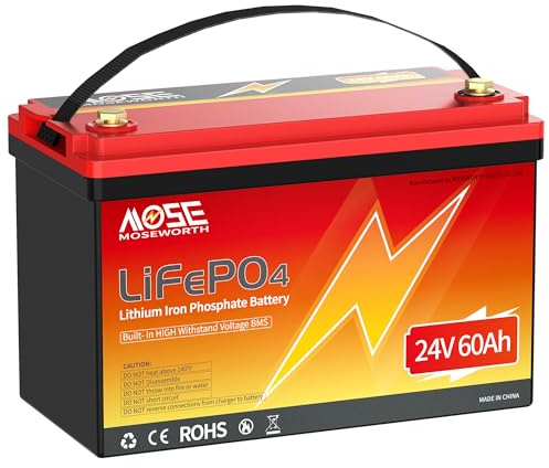 Batteria al litio LiFePO4 da 24 V, 60 Ah, protezione a bassa temperatura, oltre 5000 cicli, gruppo 24 celle di grado A, batteria ricaricabile per motori da traina, camper, barca/marine, solare