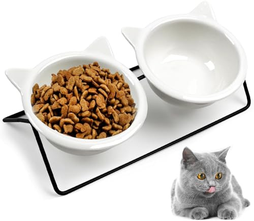 Roysmart Gamelle pour chat en céramique surélevée - Inclinée à 15° - Pour chats et petits chiens - Gamelle en céramique surélevée - Gamelle amovible pour chat