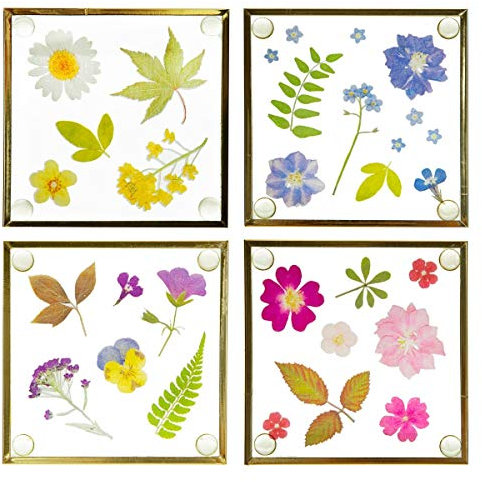 Sass & Belle Flower Print Glass Coasters