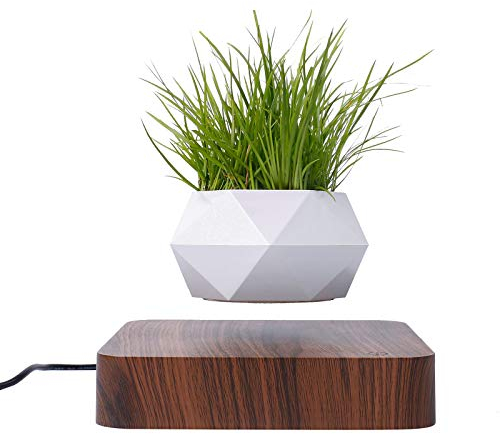 EUNEWR Pot de Bonsaï en Lévitation Magnétique, Suspension Flottante pour Fleurs et Micro Paysage, Décoration pour Maison, Bureau et Jardin