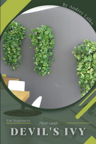 Devil's Ivy: Plant Guide