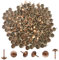 Hocansen 200 PCS Upholstery pins 11x7mm Furniture Upholstery Tacks Nails Thumb Tacks Metal Round Push Pins for Sofa,Boards,Furniture Decoration (Red Bronze/TD-SF)