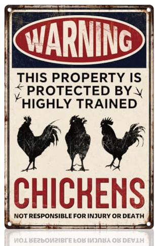 DOODLREAM Lustiges Metallblechschild Mit Hühnerstall Warnung Retro Wanddekoration Eigentum Geschützt Durch Hühner“ Vintage Wandkunst Poster Bauernhaus Garten Outdoor Clubs Dekoration