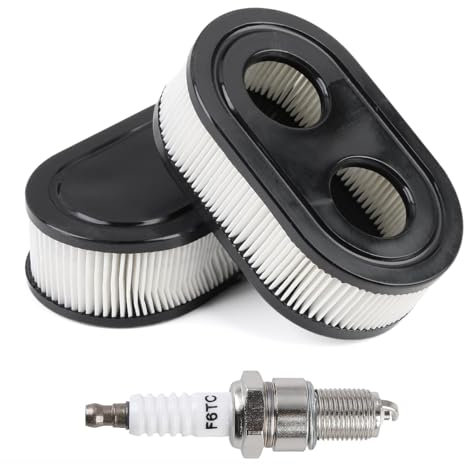 2 Pezzi Filtro Aria Tosaerba per Briggs & Stratton 4247 593260 798452 5432 5432K, Candela F6TC Sostituzione del Filtro dell'Aria 798339 093000er Filtri Aria per Tosaerba
