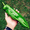 Seeds: 100 Stück Chilli Bonsai Gemüse DIY Topfpflanzen Indoor Outdoor Paprika Für Hausgarten Bonsai Keimungsrate 95%: 2