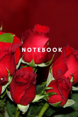 Romantic Roses photo cover Notebook: 6x9 inches 120 pages with lines