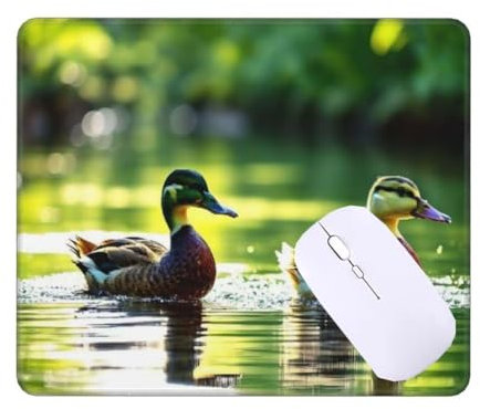 Small Mouse Mat, Mini Mouse Pad 15x12 inch, Duck Lake Desk Mat, Non-Slip Rubber Base Waterproo Mousepad, Gaming Mouse Pad, for Women Men Wireless Mouse Laptops Keyboard Home Office Travel T-10917