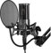 Msuiiixcccc X2 USB Condenser Microphone Gamer Studio Mic Podcast Microfono Music 3.5mm Metal with Pop Filter Shock Moun