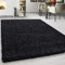 Teppium Moderner Hochflor Teppich Wohnzimmer 300x400 cm Anthrazit - Shaggy Flauschiger Teppich, Extra Weich, Pflegeleicht und Einfarbig - für Schlafzimmer, Küche und Esszimmer