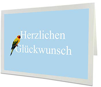 Geburtstagskarte Blau Sonnensittich Glückwunschkarte zum Geburtstags Vogel Zeichnung mit Umschlag