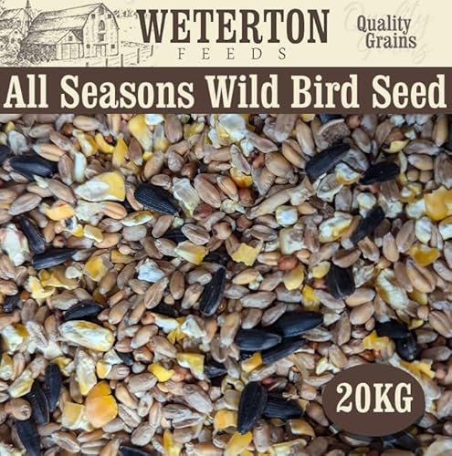 Weterton Feeds Premium All‑Season Wild Bird Seed with Aniseed, 20 kg | High‑Energy UK-Grown Wild Bird Food to Attract Small Garden Birds