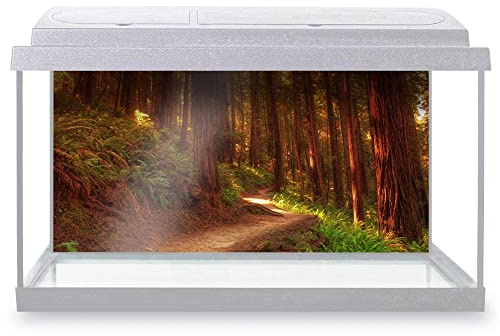 DV DESIGN Fish Tank Background 90x45cm - Ancient Redwood Tree Forest Waterproof Vinyl Static Cling #13072