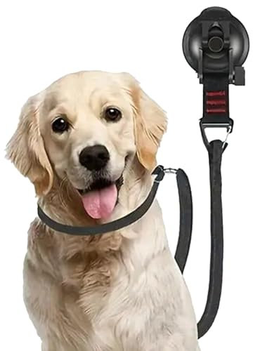 Correas De Sujeción para Baño para Perros - Correa para Baño De Perros con Ventosa | Correa para El Cuidado De Mascotas con Ventosa, Cuerda De Seguridad Fija para Perros Pequeños Y Medianos
