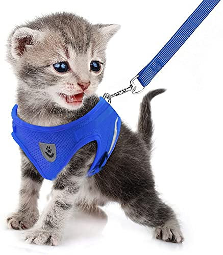 FEimaX Soft Mesh Dog Harness and Leash, No Pull Adjustable Lightweight Puppy Harnesses with Reflective Strap, Escape Proof Small Dog Cat Vest for Outdoor Walking