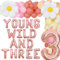 JOYMEMO Groovy Party-Dekorationen zum 3. Geburtstag, junge Wild- und drei Gänseblümchen-Blumen-Luftballons, Girlande-Kit, Retro-Boho-Mädchen,