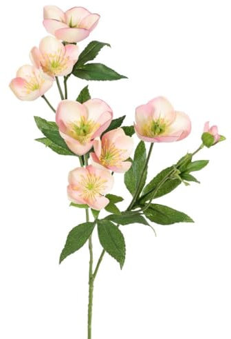 artplants.de Kunstblumen Zweig Christrosen ANYALA, rosa-weiß, 50cm - Künstlicher Deko Zweig