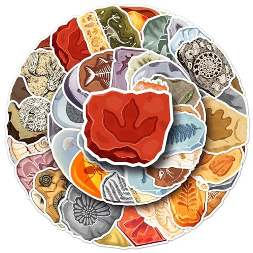 Fossilien Wasserdichte Aufkleber Set Geschenk für Jugendliche Erwachsene 50 Stück Fossil Vinyl Sticker Deko für Auto Motorräder Fahrrad Skateboard Snowboard Gepäck Laptop Scrapbook Auto Koffer
