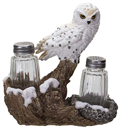 Pacific Giftware Salz- und Pfefferstreuer mit Schnee-Eule auf einem Baumzweig sitzend, spirituell, realistisch, dekorativ, aus Glas, mit Harzhalter