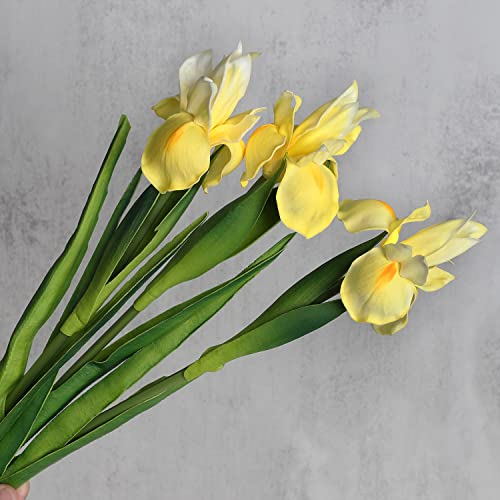 huaao 3 Stück Künstliche Iris Blumen, Langer Stiele Gefälschte Kunstblumen Iris Deko für DIY Blumenarrangements Hochzeitsstrauß Foto Requisiten Dekoration Zuhause Party Tischdekoration, Gelb