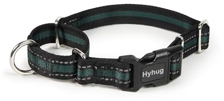 Hyhug Pets Verstellbares Martingale-Hundehalsband mit Schnellverschluss-Schnalle, farbecht, strapazierfähig, Anti-Ausbruch, Training, rutschfestes Welpenhalsband (reflektierendes Grün, Größe S)