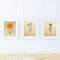 Nacnic Vintage Poster Set Verschiedene kreative Bilder Größe A4 A3 (A4, Fisch)