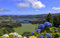 GUOHLOZ Puzzle 1000 Teile,Puzzle für Erwachsene, Impossible Puzzle, Geschicklichkeitsspiel für die ganze Familie, Berge, Portugal, Azoren, Insel Sao Miguel, 75x50cm