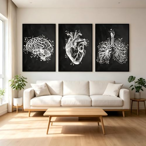 3er Set Medizin Wandbilder 30x40cm, Abstrakte Anatomie Leinwandbilder Poster, Aquarell Blumen Menschliches Muskelsystem Poster Set Kunst Medical Office, Frameless(D, 3x30x40cm)