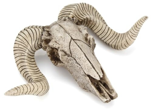 BEAHING Wall Hanging Horn Skulls, Wall Mounted Steer Skull Resin Gothic Macabre Decor Wall Hanging Artwork Ornament for Halloween Decor