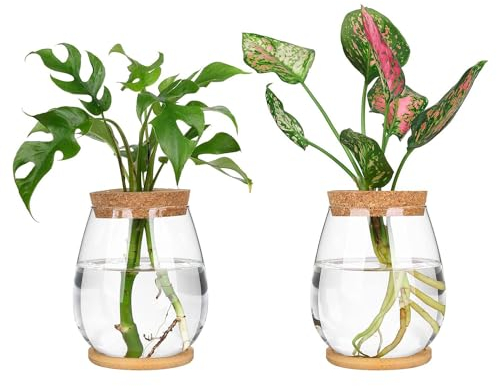 Tagtight Jarrones de cristal, estación de cultivo de plantas, plantas hidropónicas, macetas con base de madera y enchufe, jarrón de flores de tulipanes, gran terrario hidropónico para decoración del