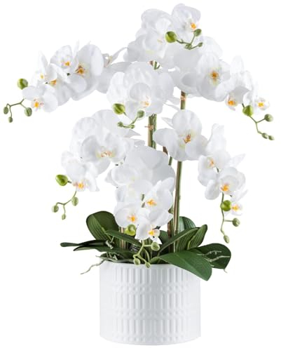 Gasper künstliche Orchidee REAL Touch H. 57cm weiß in weißem Keramiktopf