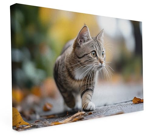 druck.de Keilrahmen - Katzen und Hunde Motive - Wandbild auf Künstler Leinwand – Hochwertiger Kunstdruck - 2cm Holzrahmen mit 280g Canvas - Auf der Lauer, 60x40 cm - Quer