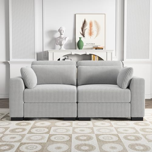 2-Sitzer-Sofa aus Cord, bequemes Schlafsofa mit Armlehnen und Kissen, modernes Design, praktisch und funktional, für Wohnzimmer, Wohnung, Büro (Kordsamt, Grau)