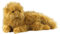 The Noble Collection Crookshanks Collector's Plush by Officially Licensed 19in (48cm) Harry Potter Toy Dolls Ginger Cat Plush - for Kids & Adults