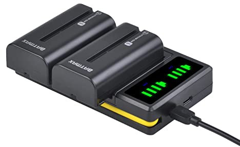 Batmax 2Pcs NP-F550 Repalcement Battery Charger set Compatible with Sony NP-F970 NP-F750 NP-F770 NP-F960 NP-F550 NP-F530 NP-F570 CCD-SC55 TR516 TR716 TR818 TR910 TR917 Handycam Led Light