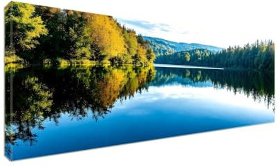 Diamant Painting Bilder, Diamond Painting Lake Forest Diamond Art Painting Set, Diamond Painting XXL Basteln Erwachsene, Stickerei Kreuzstich Diamant Kunst Malerei, Room Decor Wohnwand 250x100cm S-843