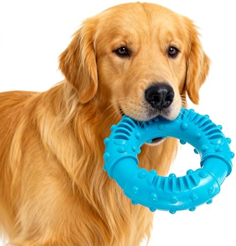 PDirat Hundespielzeug Unzerstörbar, Spielzeug Hund Unzerstörbar, Robustes Kauspielzeug, Natürlicher Gummi Hundespielzeug Zur Zahnpflege und Stressabbau für Kleine, Mittlere & Große Hunde﻿(13cm)