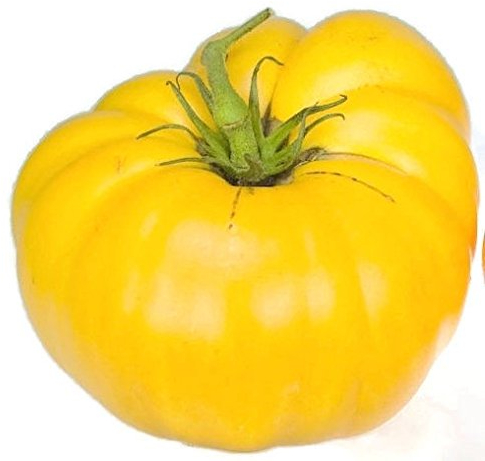 Portal Cool Tomatensamen, Gelb Brandywine, gelbe Tomaten, Fleisch Nicht-GVO-Tomaten 50ct