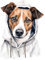 GRAZDesign Wandtattoo Hund Jack Russell Terrier Cooles Motiv für Wohnzimmer, Schlafzimmer, Jugendzimmer, Wandsticker als Wanddeko, Wandaufkleber - 42x30cm