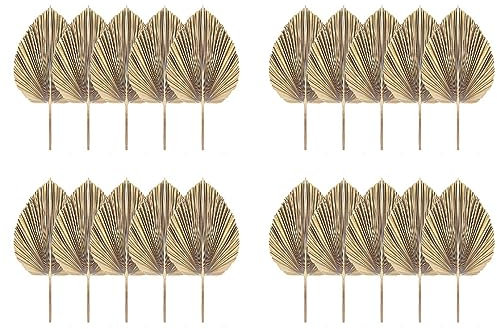 ISTOVO 20 hojas de palma secas naturales, abanicos tropicales de palmera seca, decoración bohemia para el hogar, cocina, boda