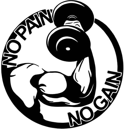 Lurrose Wandtattoo Fitness Hanteln Wandaufkleber für Schlafzimmer und Wohnzimmer Material Langlebig Künstlerisches Design Deko für Home Fitness Räume