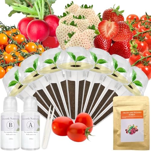 Erdbeersamenkapsel-Set für AeroGarden, Idoo, Ahopegarden mit roter Erdbeere, Rettich, grünem Pfeffer, rotem ErbstückKirschtomate, Golden Harvest Cherry Tomate - Kompatibel mit allen Hydrokulturen
