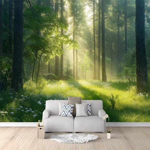 Forêt Verte Soleil Papier Peint Panoramique Vert Peinture Murale Papier Peint 3D Fresque Salon Chambre, 350x256 cm