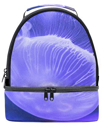 Medusa Lunchbox für Erwachsene, isoliert, Blau