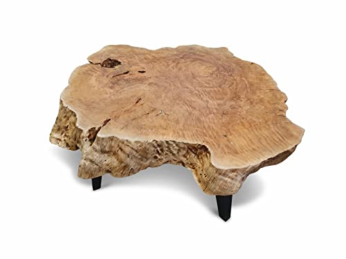 Massivholz Couchtisch Lychee II - 80-120 cm Tischplatte aus massivem Lychee Holz Baumscheibe im rustikalen Landhausstil, geeignet für Wohnzimmer, Wintergarten oder als Kaffeetisch (80-90x40cm)
