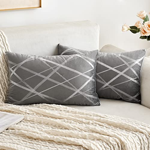 MIULEE 2er Set Samt Kissenbezug Silver Kissenbezüge Dekokissen Dekorativ Sofakissen Kissenhülle Zierkissenbezug Zierkissen Bezug Überzug Deko Kissen Bezüge Couchkissen Sofa Hellgrau 30x50 cm