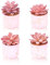ZENIDA Piante grasse artificiali, graziose piante grasse finte in 4 vasi di ceramica rosa, piccole piante finte per ufficio, tavolo, scrivania, bagno, camera da letto, decorazione estetica per mensole