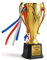 esmen Trofeo in Metallo, Trofeo Coppa d'oro con Incisione Personalizzata, trofei Personalizzati per Campionati Personalizzati per la premiazione dei Vincitori